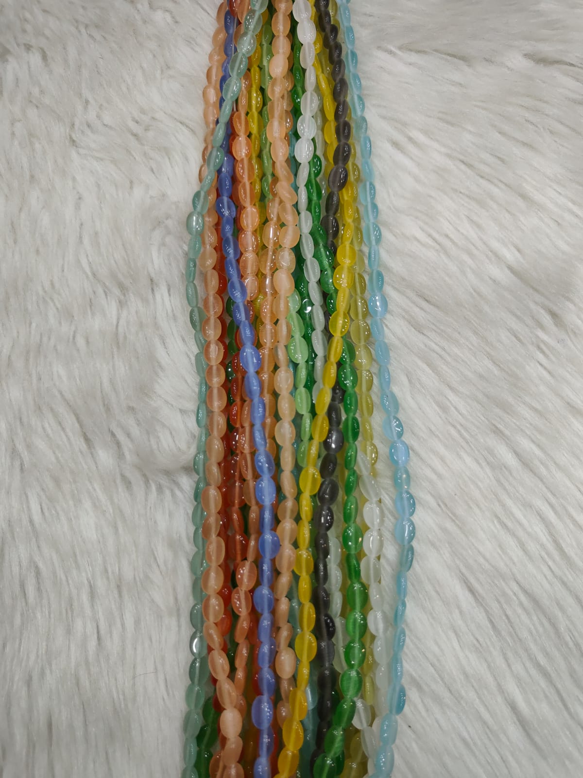 WhatsApp Image 2026-01-19 at 3.29.55 PM