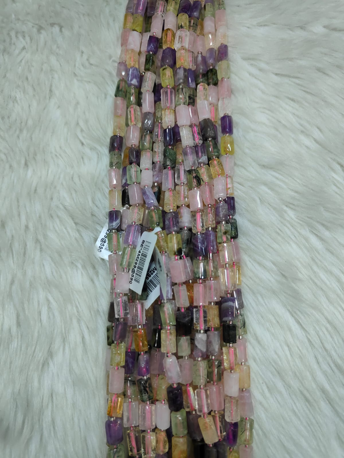 WhatsApp Image 2026-01-19 at 3.29.59 PM (1)