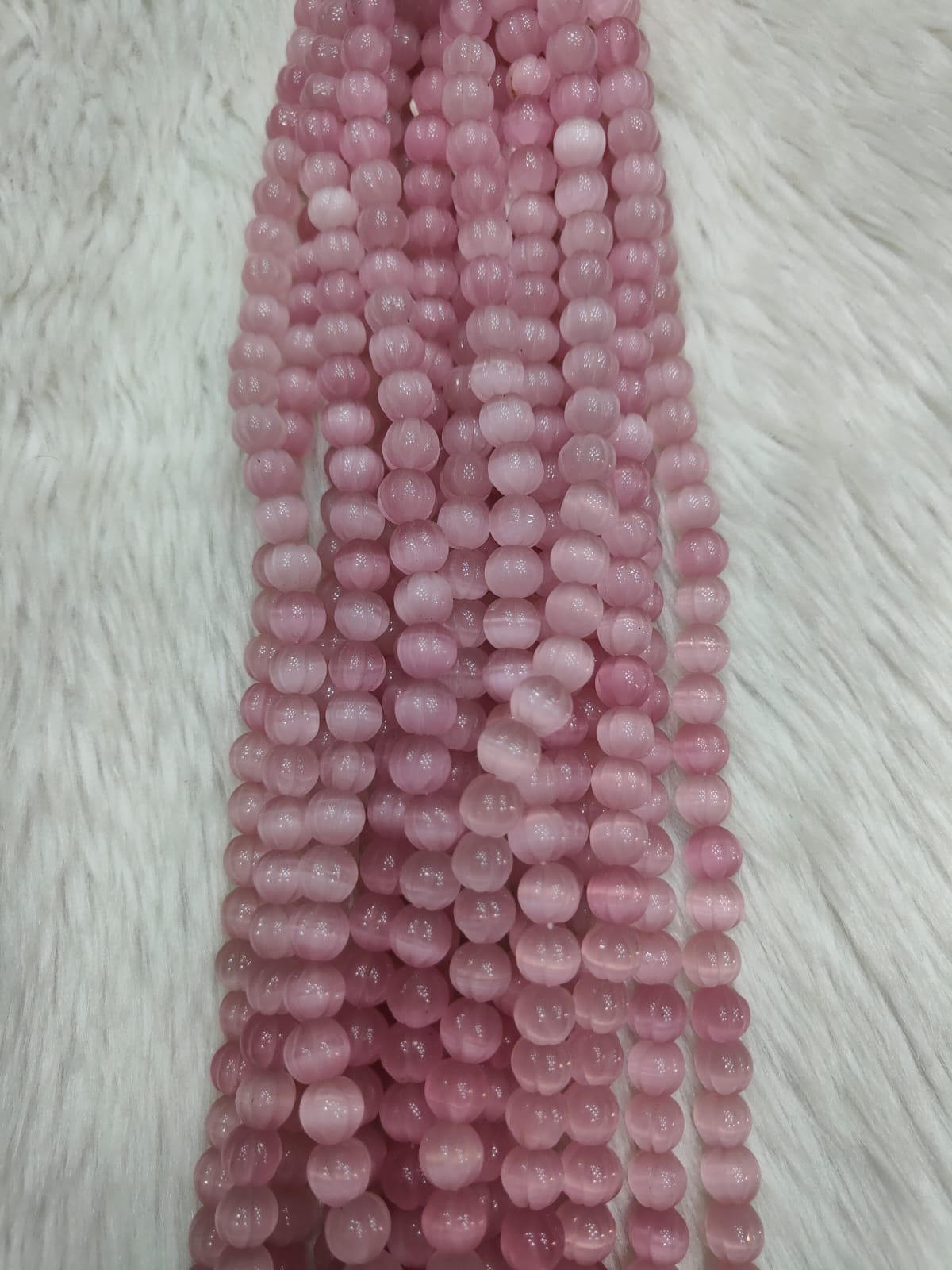 WhatsApp Image 2026-01-19 at 3.30.19 PM