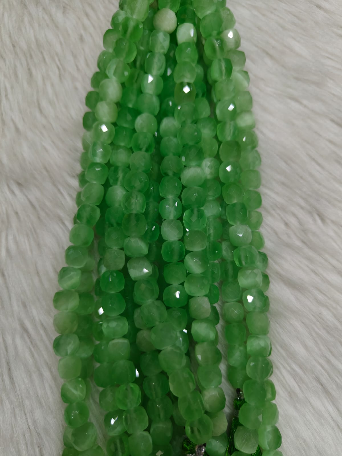 WhatsApp Image 2026-01-21 at 5.31.43 PM