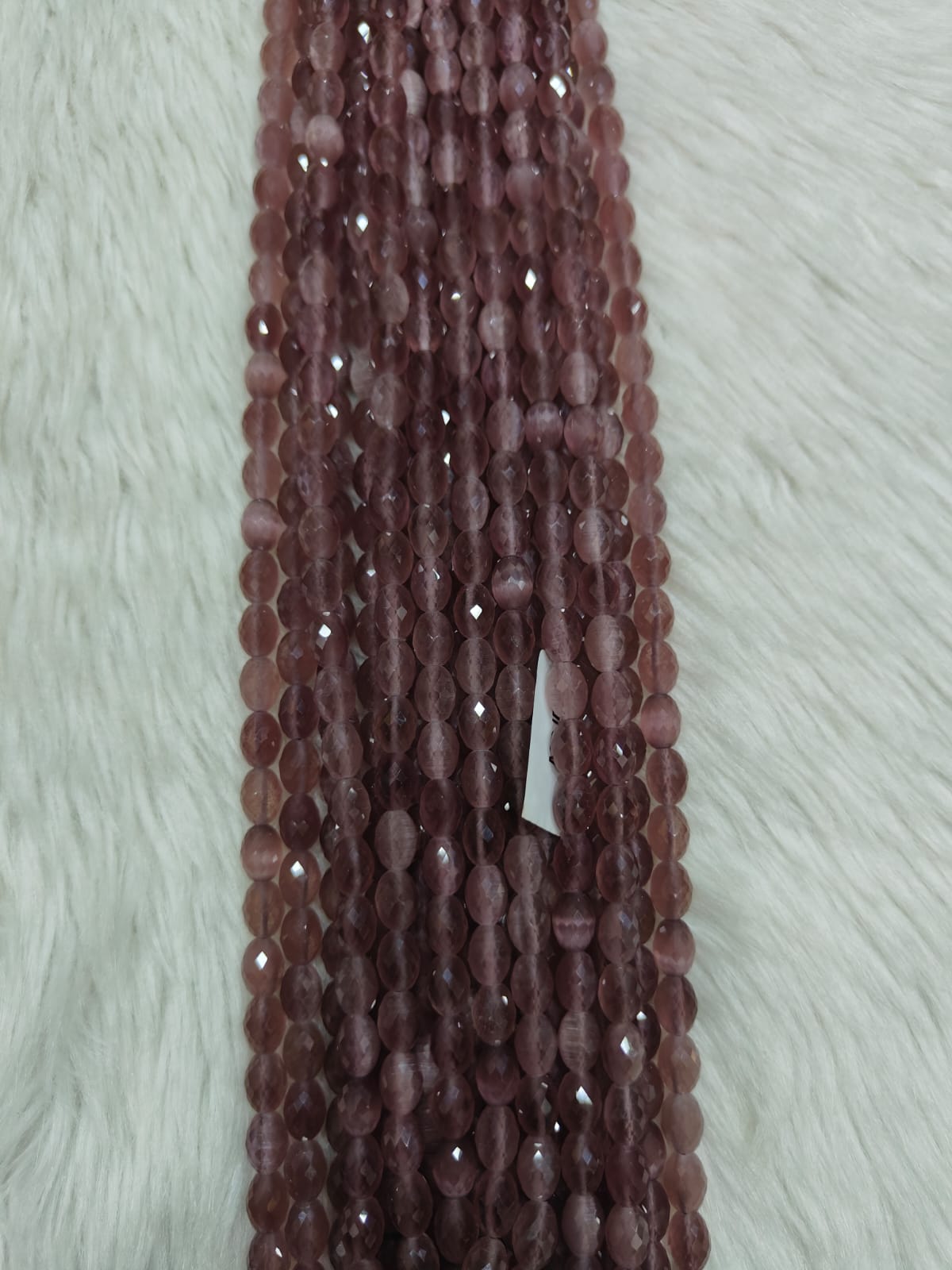 WhatsApp Image 2026-01-21 at 5.31.47 PM