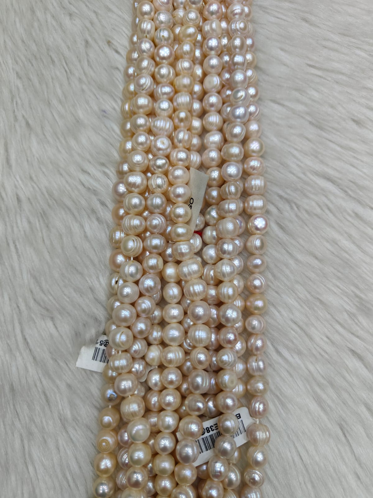 WhatsApp Image 2026-01-21 at 5.31.58 PM (2)