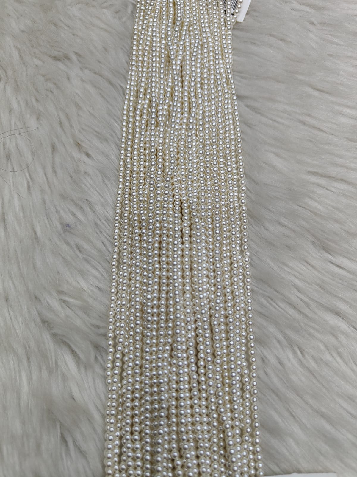 WhatsApp Image 2026-01-21 at 5.31.59 PM (2)