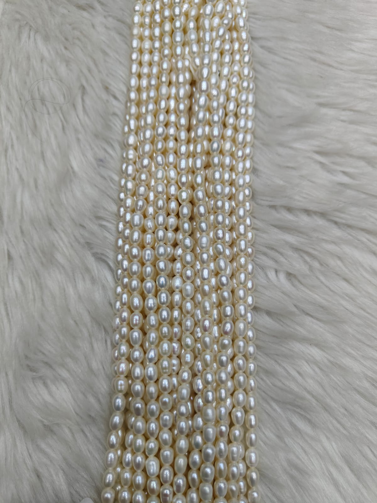 WhatsApp Image 2026-01-21 at 5.31.59 PM