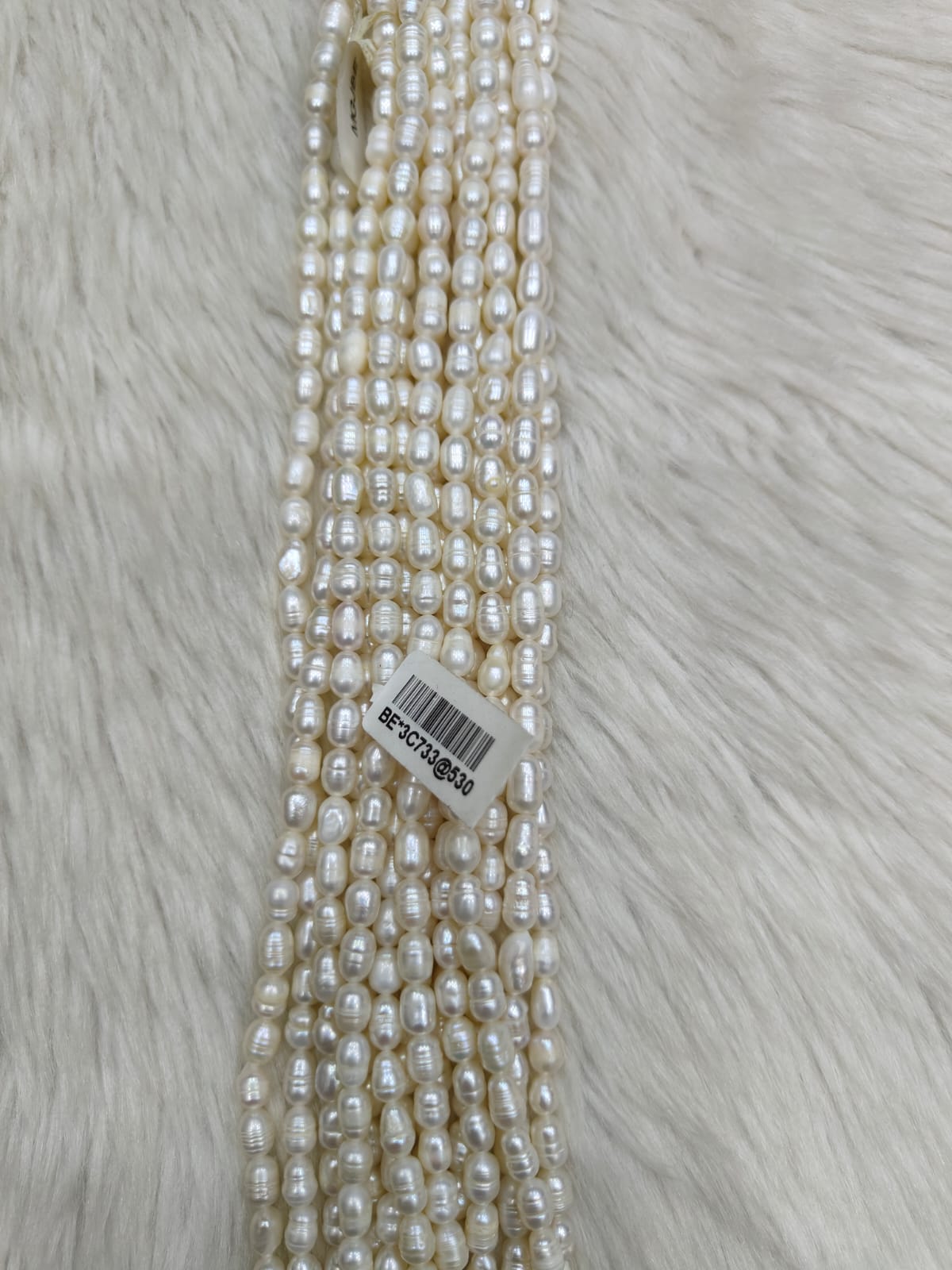 WhatsApp Image 2026-01-21 at 5.32.00 PM