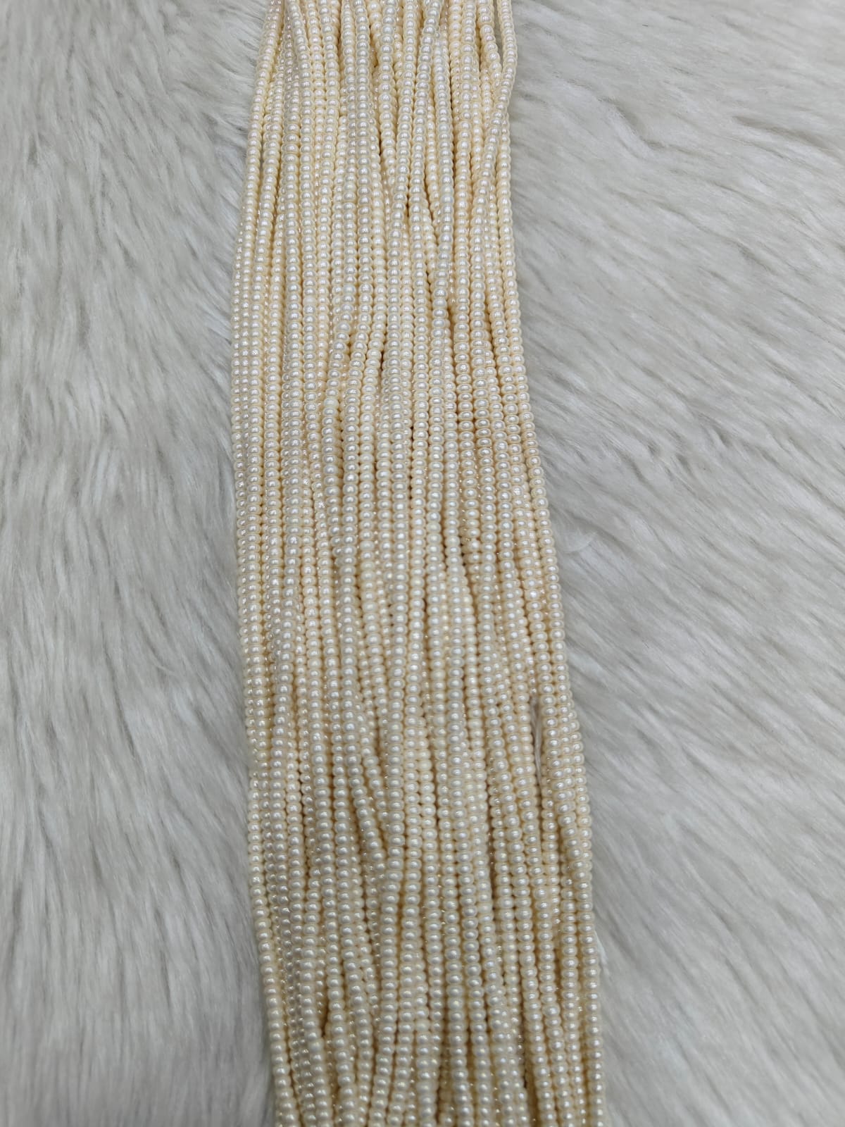 WhatsApp Image 2026-01-21 at 5.32.03 PM