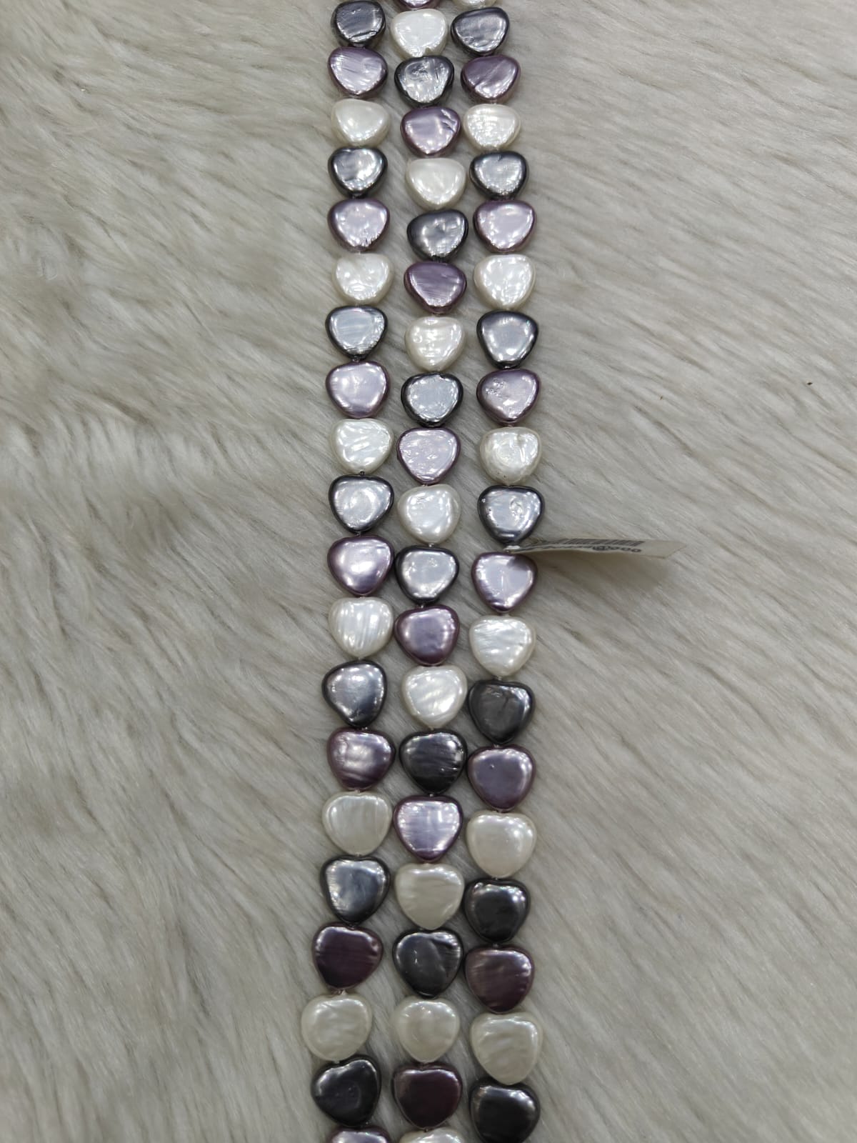 WhatsApp Image 2026-01-27 at 12.41.25 PM