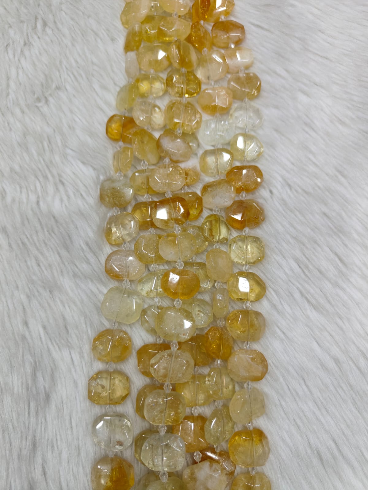 WhatsApp Image 2026-01-27 at 4.35.59 PM