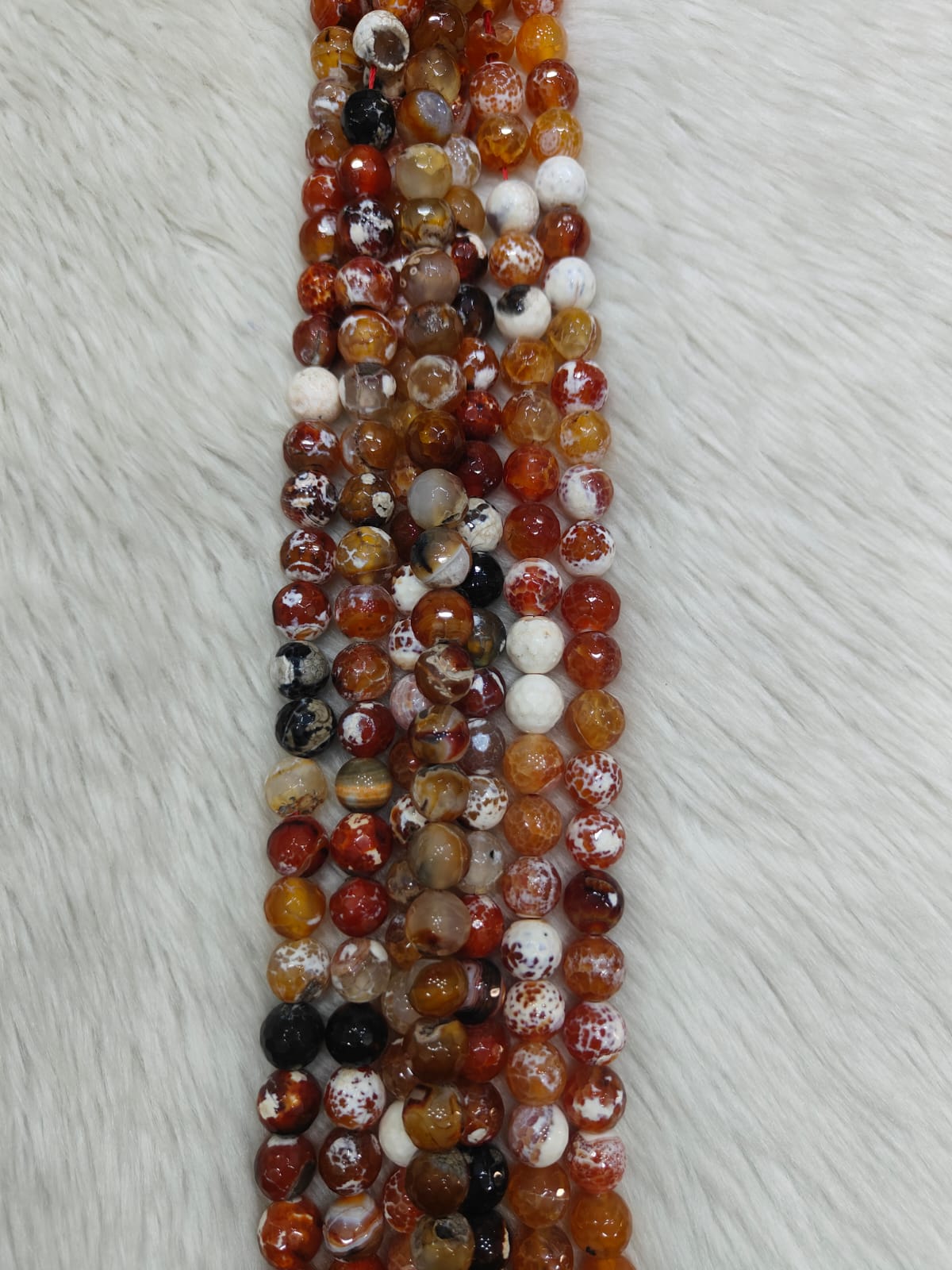 WhatsApp Image 2026-01-27 at 6.27.49 PM (2)